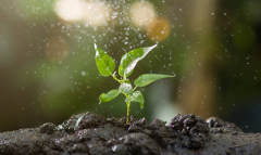 土壤墑情監(jiān)測系統(tǒng)有用嗎，來競道告訴你答案！