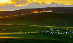 夏季高溫，氣象站全力應對森林草原防火形勢