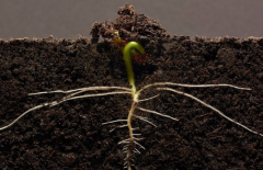 土壤水分測定站要如何維護？