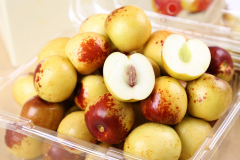 冬棗變夏棗，氣象站發(fā)展特色農(nóng)業(yè)