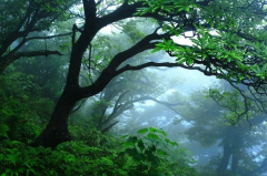 負(fù)氧離子檢測儀如何使用？